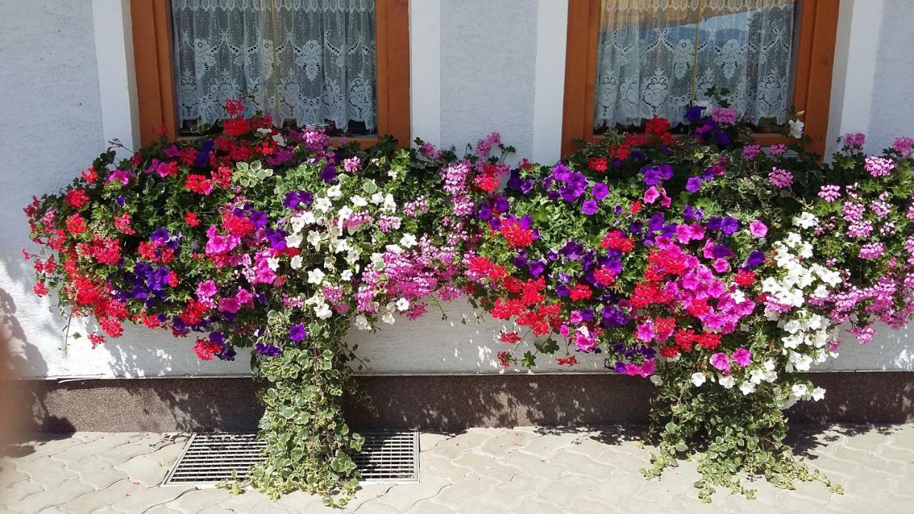 Haus Edlinger Inclusive Murau Sommer Gaeste Card Санкт-Георген-об-Мурау Экстерьер фото